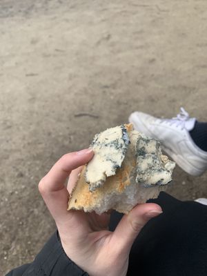   at Willicroft - Plant Based Cheese Store in Amsterdam