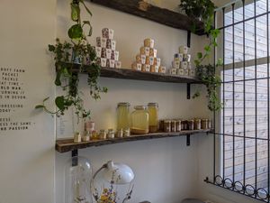 Rejuvelac at Willicroft - Plant Based Cheese Store in Amsterdam