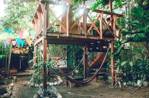 Garden at Ciao Cacao Hostel & Cafe in Flores