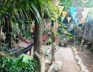 Garden at Ciao Cacao Hostel & Cafe in Flores