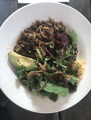 Bowl   at Sassafras in Paddington