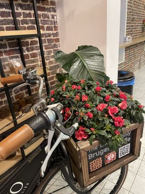   at Otto Waffle Atelier in Bruges