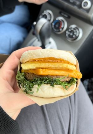   at Sorry I've Got Plants in Toronto