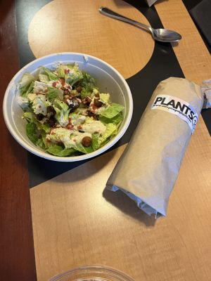   at Sorry I've Got Plants in Toronto