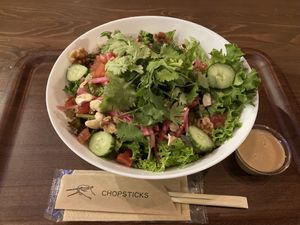 Coriander salad bowl  at Very Veggy-SALAD WORKS- in Fujisawa