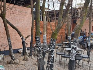  at Utpala Café in Kathmandu