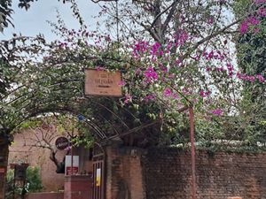  at Utpala Café in Kathmandu