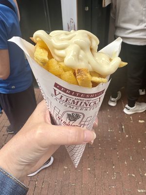 Dutch fries with vegan mayo  at Vleminckx Sausmeesters in Amsterdam