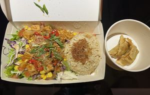 ‘Kung Pao Tofu’ and ‘Fried gyozas'  at Burgreens - Oakwood in Jakarta