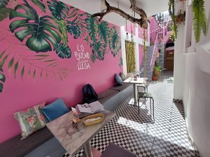 . at Satiba in Arequipa