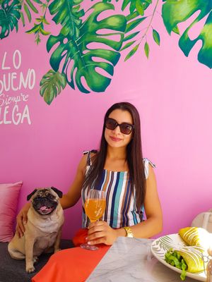 Pet friendly at Satiba in Arequipa