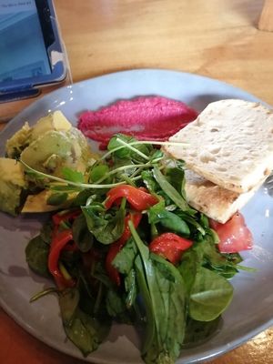  at Fat Dog in Rotorua