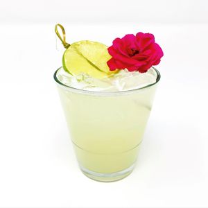 Tolucarita  at Toluca in Dallas