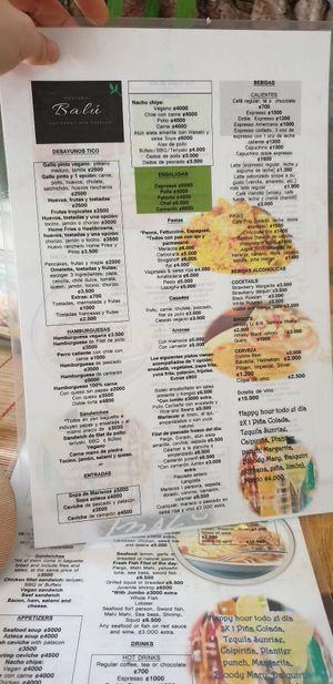 Menu with vegan options. 05.12.2019 at Restobar Balú in Quepos