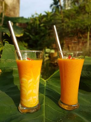 Mango Sunrise, with or without home made coconut yoghurt at Little Eden in Dawei in Dawei