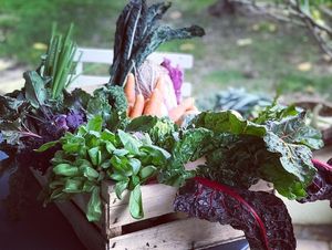 All veggies are coming from local organic market. at Laure in Provence in Nyons