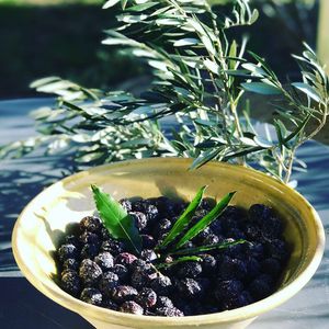 Olives from the property. at Laure in Provence in Nyons