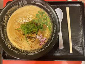 Vegan tantamen  at Jikasei Mensho in Tokyo