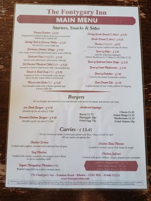 Only one vegan option 16.04.24 at Fontygary Inn in Barry