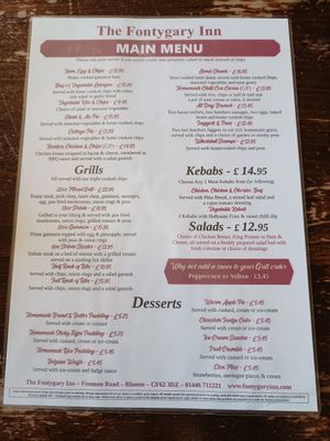 Only one vegan option 16.04.24 at Fontygary Inn in Barry