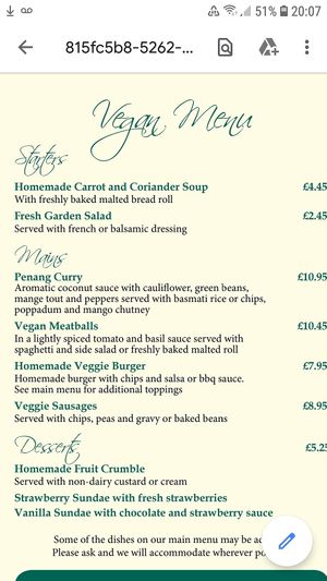 Vegan menu at the Fontygary Inn at Fontygary Inn in Barry
