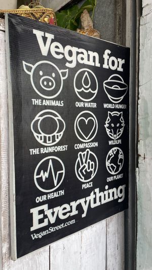 🤍  at Vegi House in Singaraja