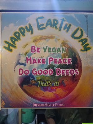  at Vegi House in Singaraja