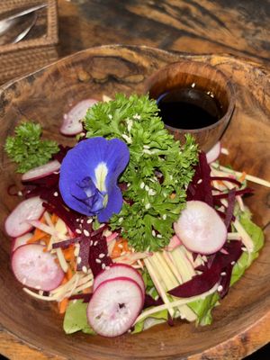 Salad (pretty but boring)   at Warung Seni in Tejakula