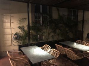 Garden  at The Green Affair - Chiado in Lisbon