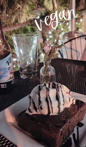 Unreal  at Darbster in West Palm Beach