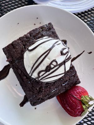 Brownie   at Darbster in West Palm Beach