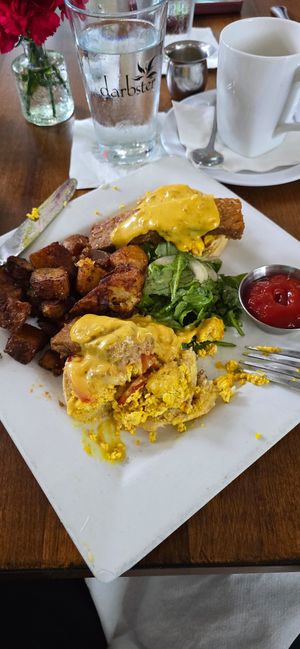 BENEDICT at Darbster in West Palm Beach