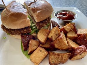 Chicken sandwich on a challah bun  at Darbster in West Palm Beach