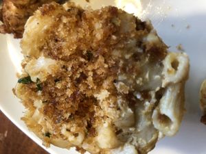 Mac & Cheese (side) at Darbster in West Palm Beach
