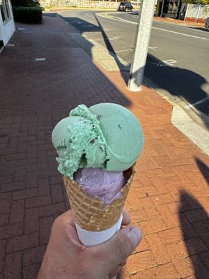 Mint Choc Chip and Blueberry Coconut ice cream  at The Bean & The Cone in Bunbury