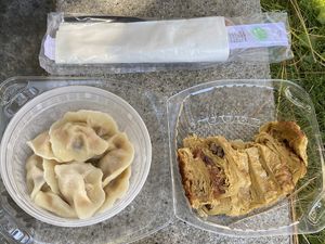 Chili Dumplings (sans sauce) and the Duck at Enjoy Vegetarian - Financial District in San Francisco