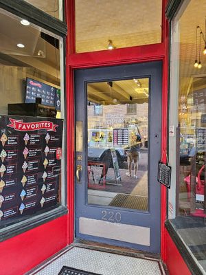 Hours of operation at The Red Bean in Annapolis