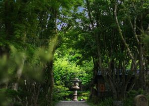  at Yangming Spring - 陽明春天蔬食 in Taipei