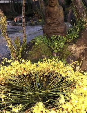 Zen environment  at Yangming Spring - 陽明春天蔬食 in Taipei