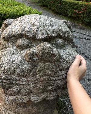 Beautiful garden  at Yangming Spring - 陽明春天蔬食 in Taipei