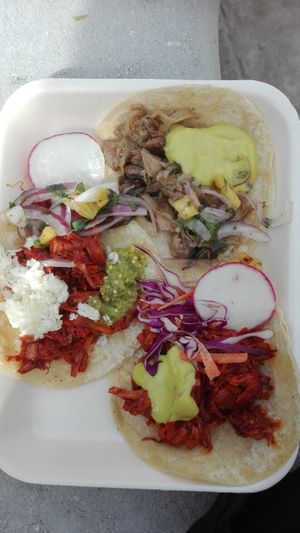 Delicious jack fruit tacos at Productos Veganos Rancho San Agustín in Puerto Vallarta