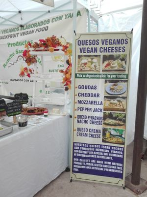 Vegan cheeses at Productos Veganos Rancho San Agustín in Puerto Vallarta