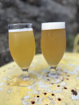 Beers   at Bear Claw Brewery in Berwick-upon-tweed