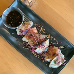 Ask for the vegan menu 😊 lovely vegan dumplings  at The Fat Duck in Te Anau