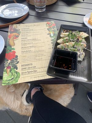 Dumplings  at The Fat Duck in Te Anau