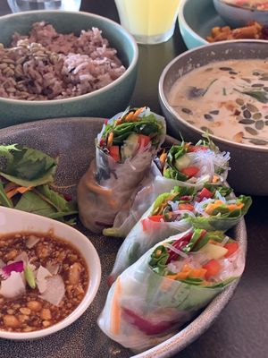 Fresh rolls, green curry  at Khu Khu in Auckland