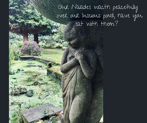 Fabulous protected Newt pond :) at Claridge House in Lingfield