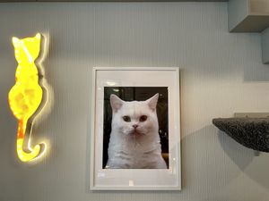 decoration at Katzentempel - Rosenheim in Rosenheim