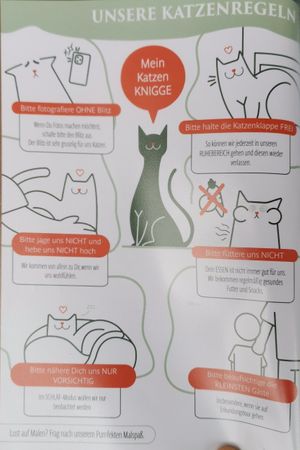  at Katzentempel - Rosenheim in Rosenheim