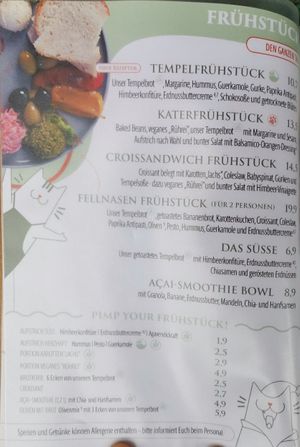  at Katzentempel - Rosenheim in Rosenheim